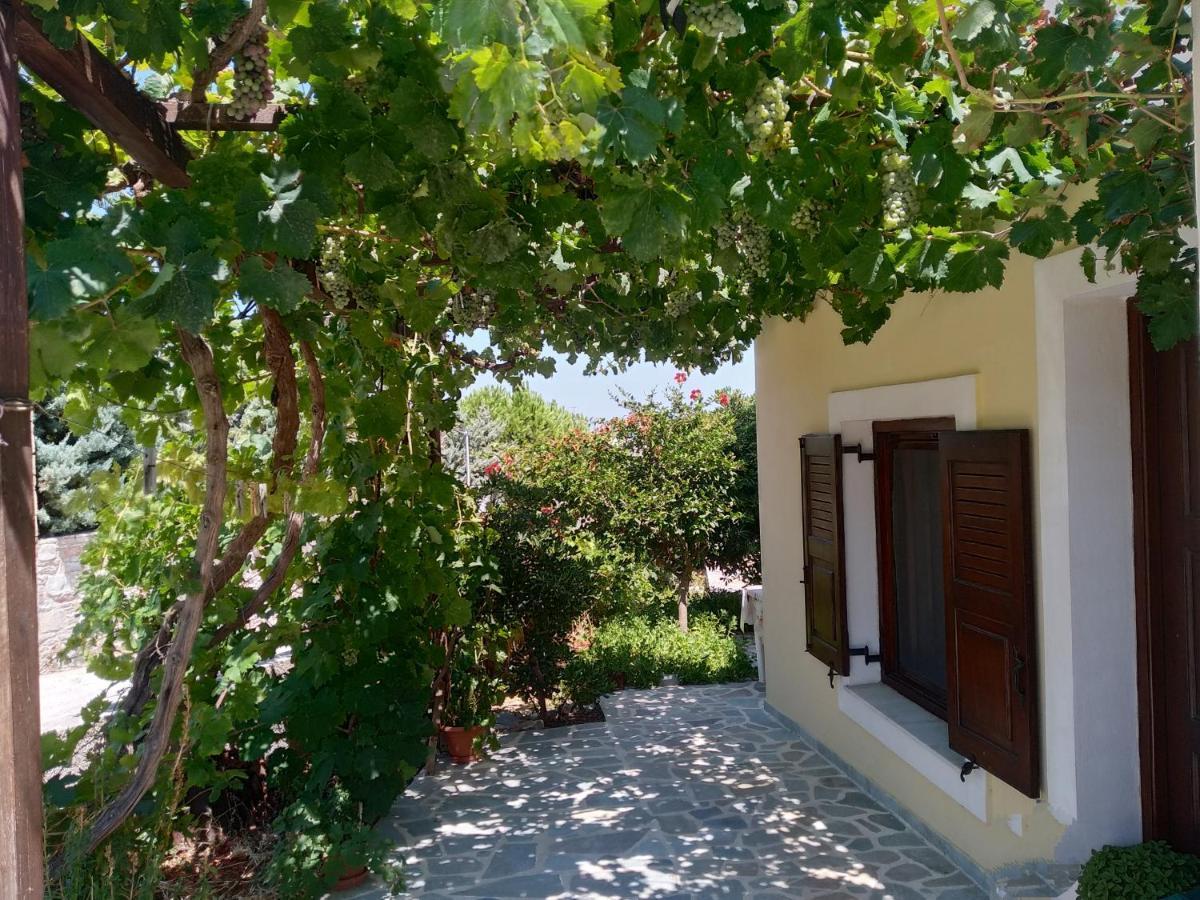 Theodorou Hotel Azolimnos Ngoại thất bức ảnh